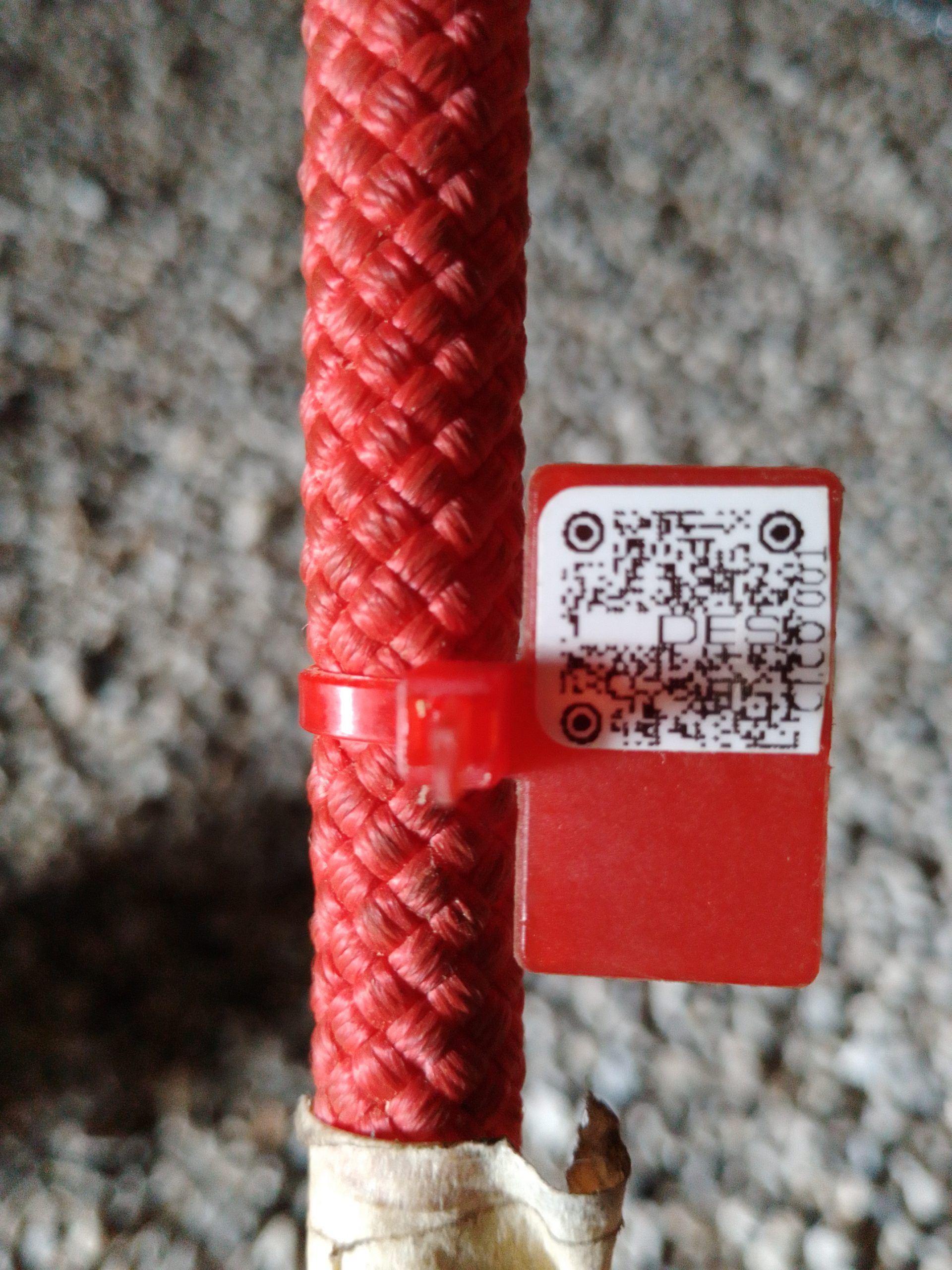 IMG 20230913 141126 2661 scaled 32b61083