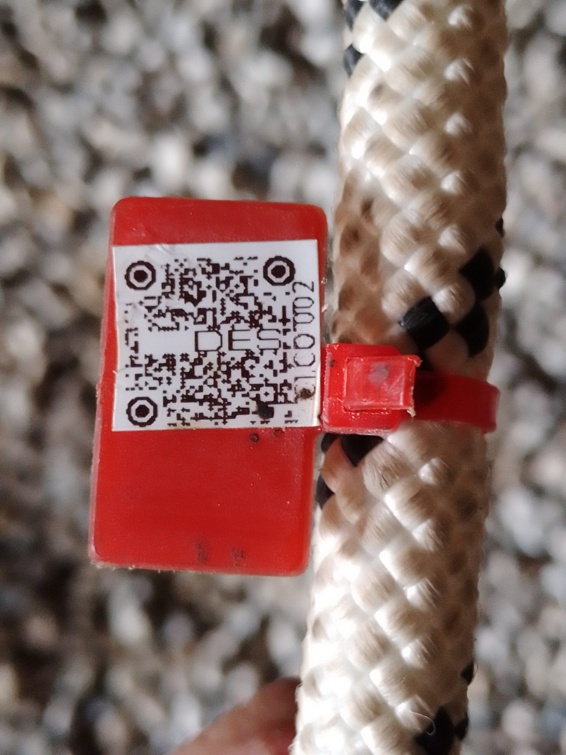 IMG 20230913 141332 6021 scaled 47ddb8dd