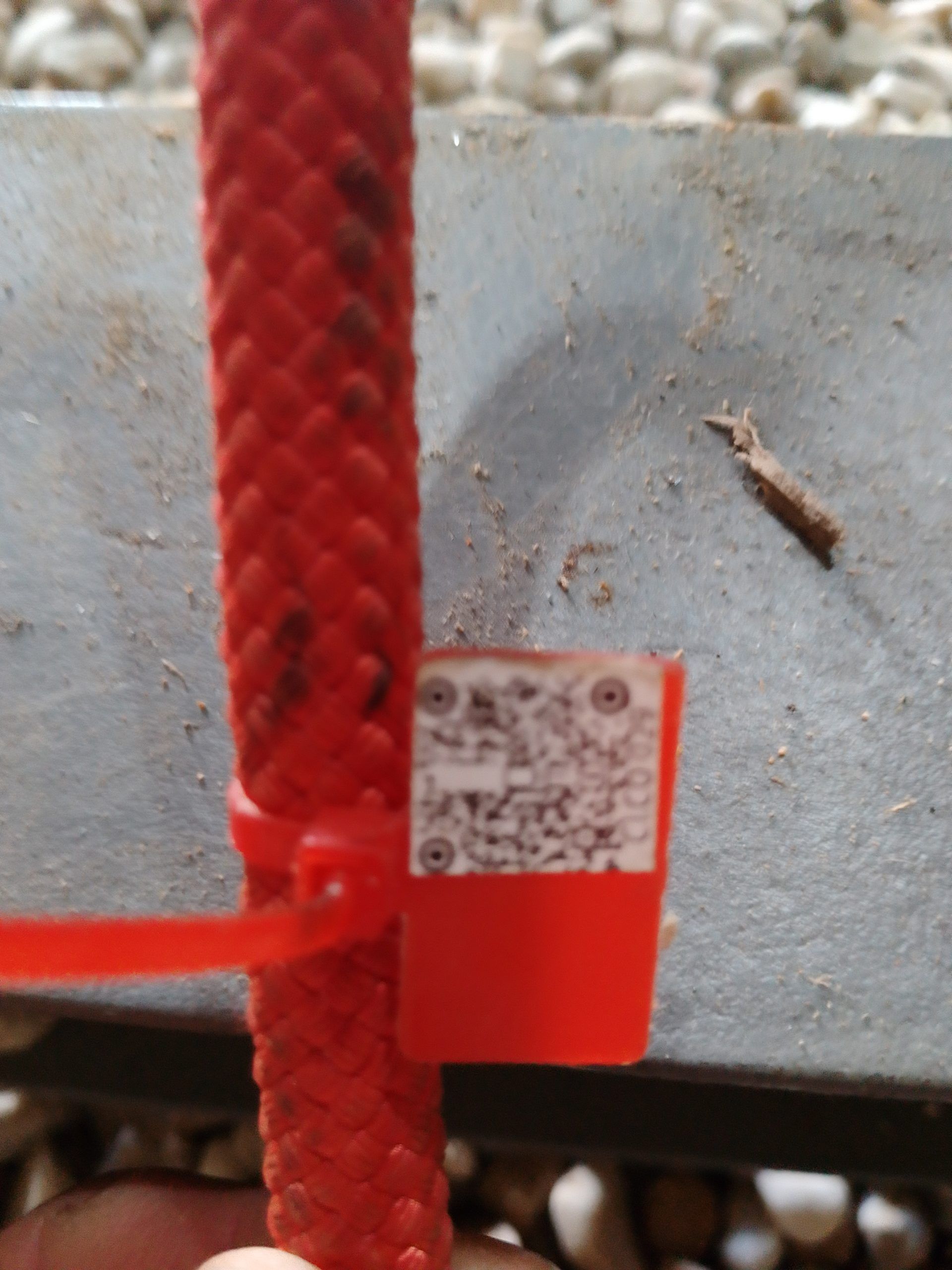 IMG 20230914 172342 339 scaled 53875446