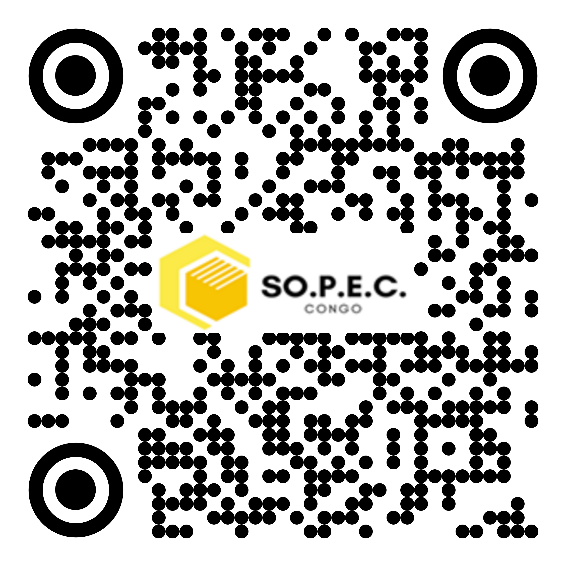 SA 005 6a1ffa58