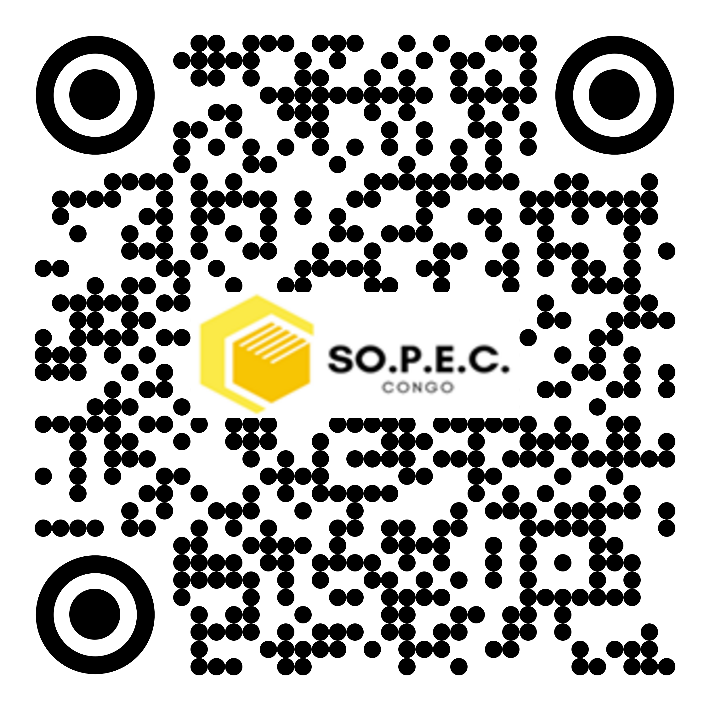 SA 013 83e99f9a