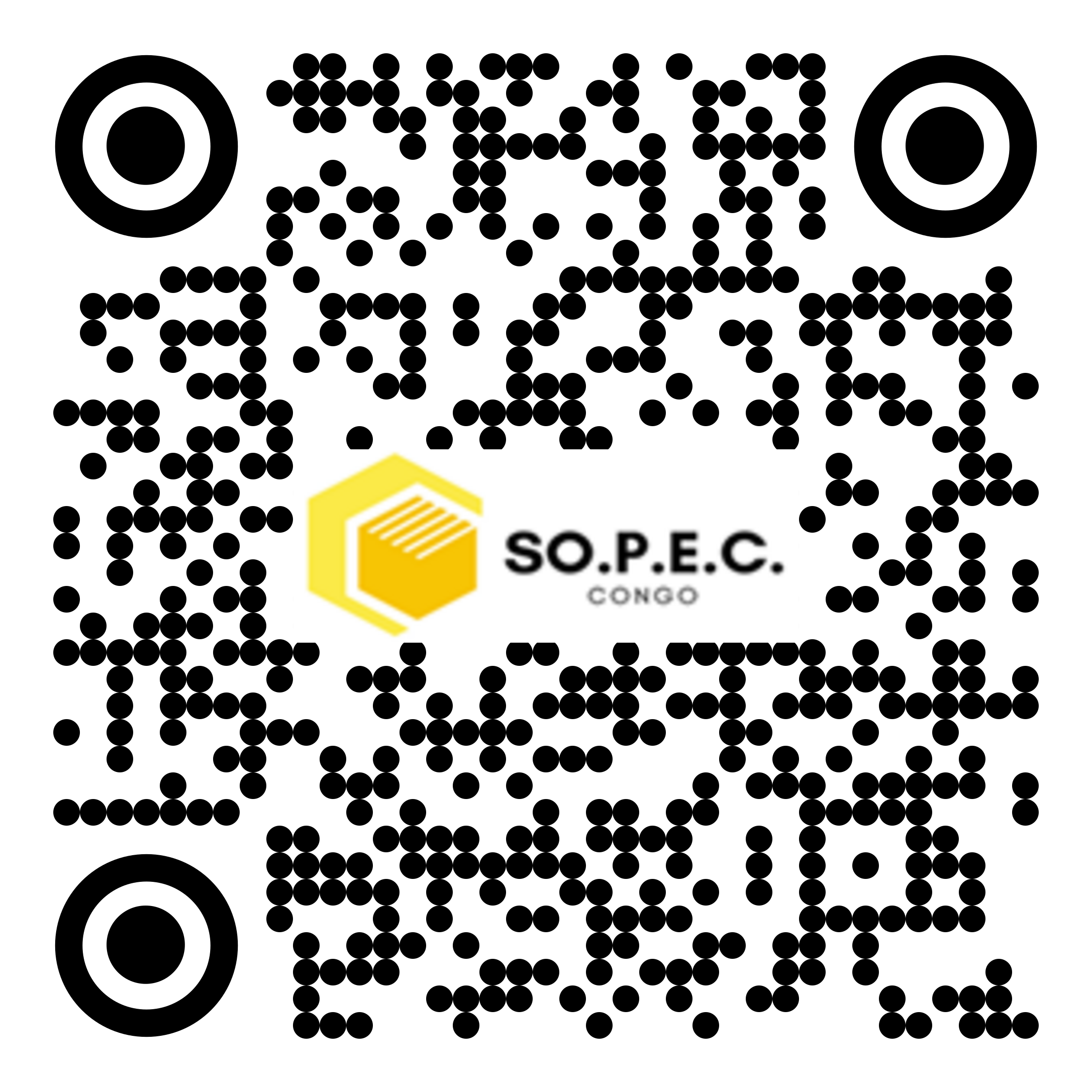SA 010 b528cb8c