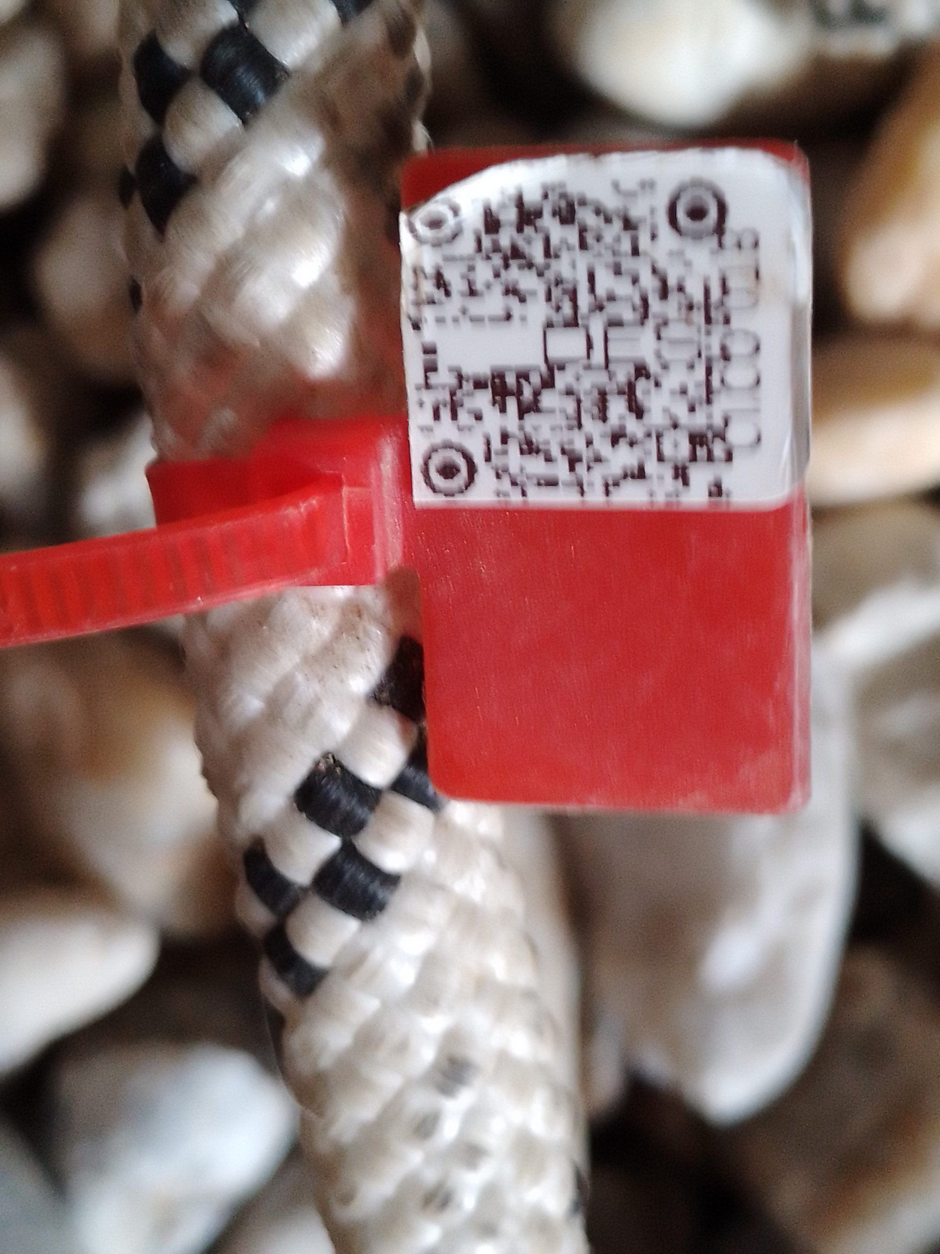 IMG 20230914 170325 258 scaled e6779418