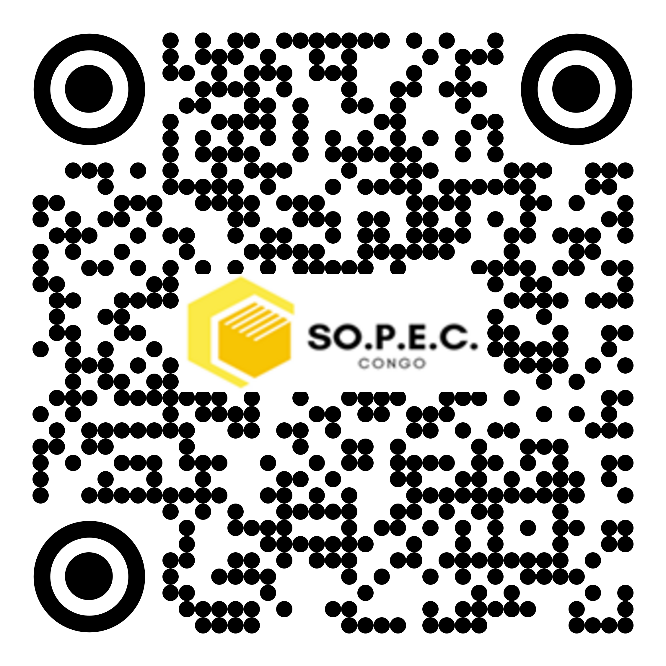 SA 106 e8b8e0a9