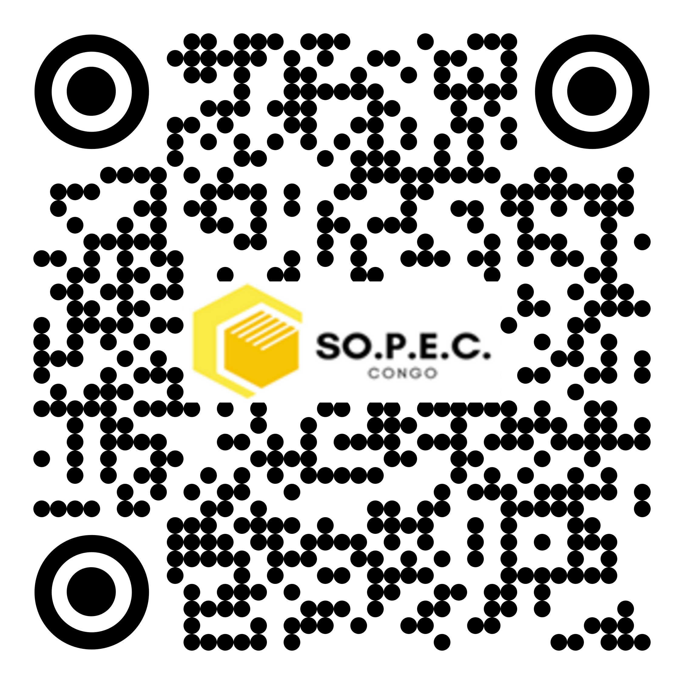 SA 008 ebc95262