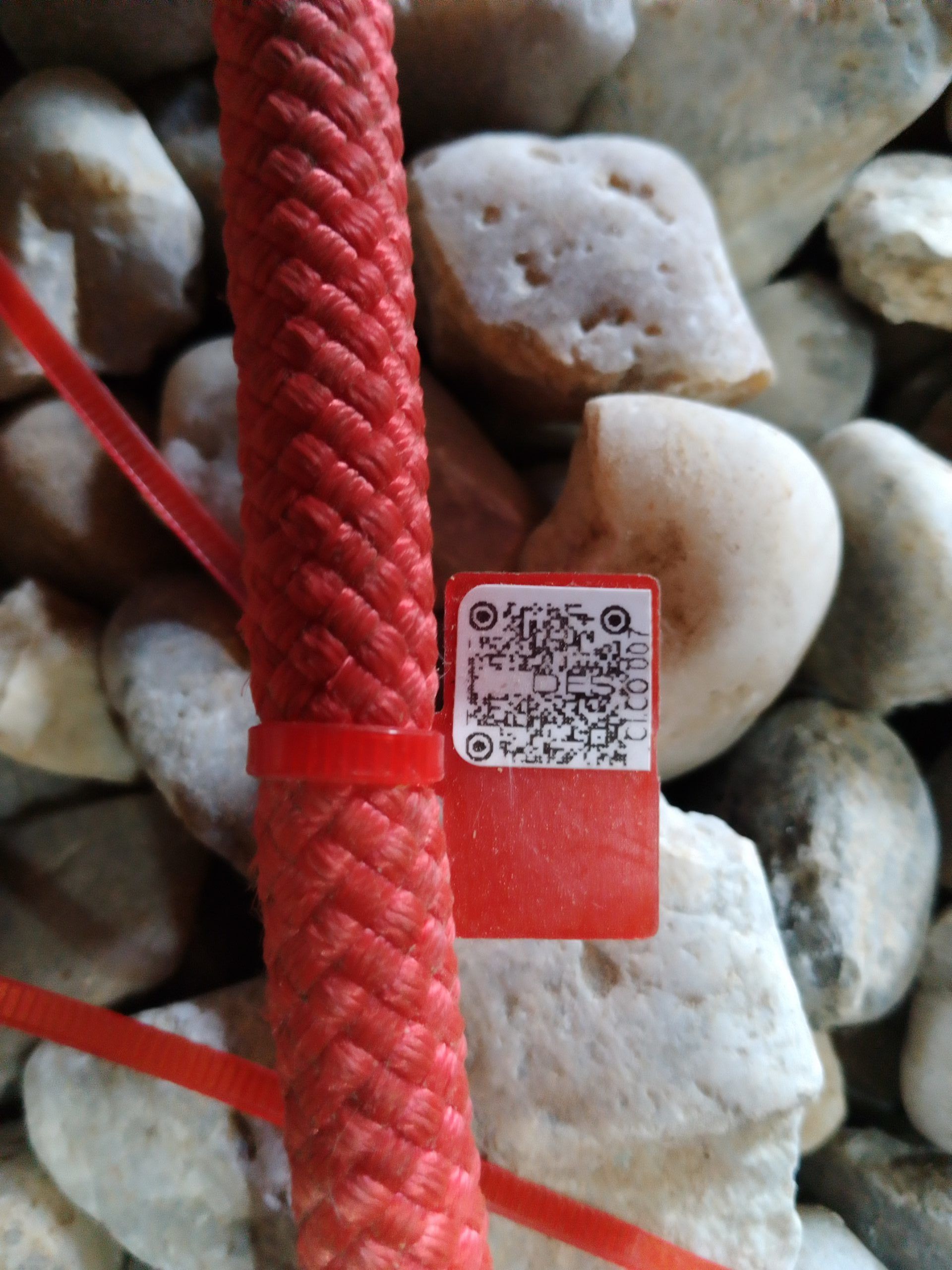 IMG 20230914 094003 3861 scaled e1694679121199 f0c6d7ea