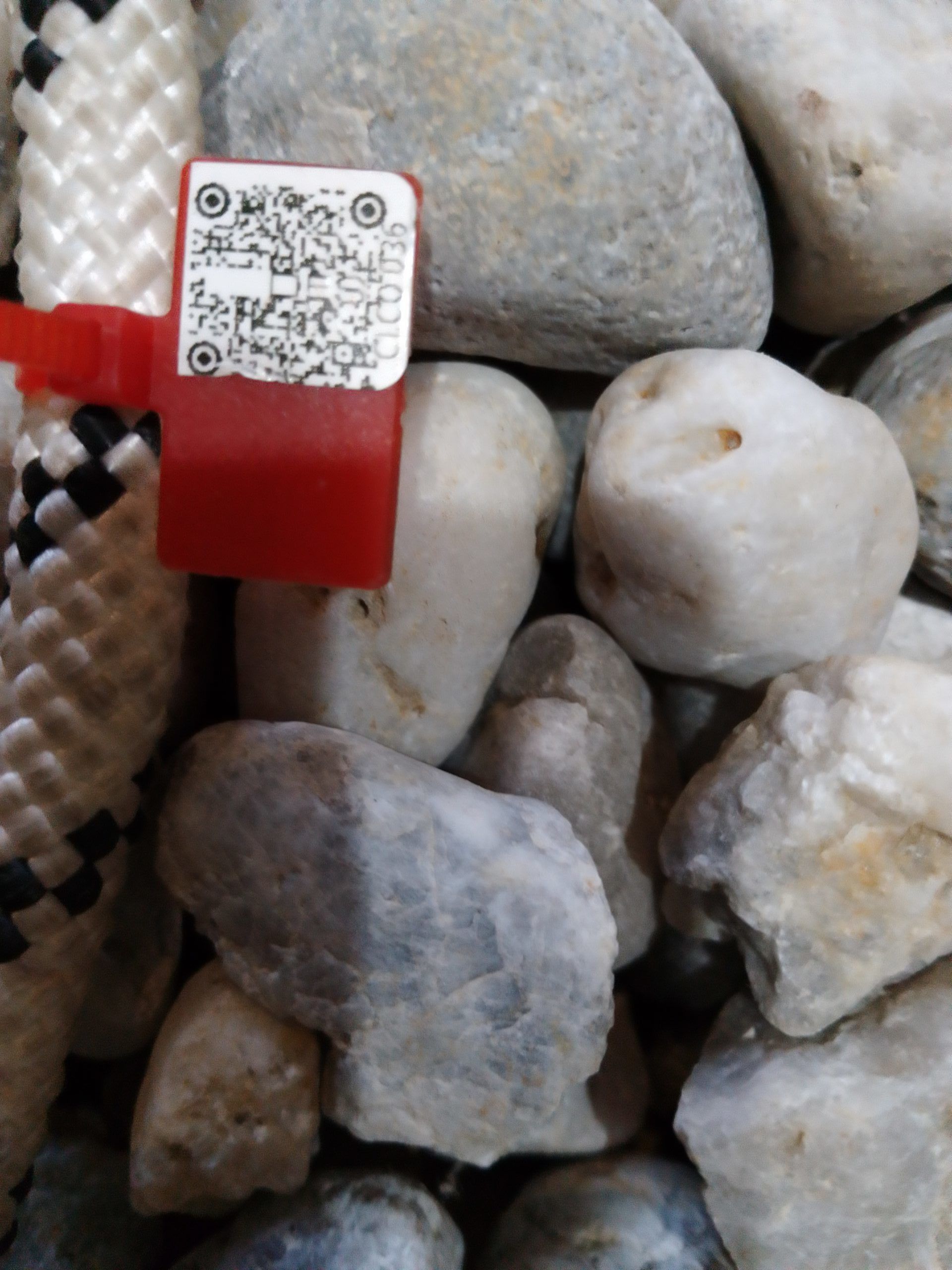 IMG 20230918 075332 2381 scaled e1695020839846 fefccb1d