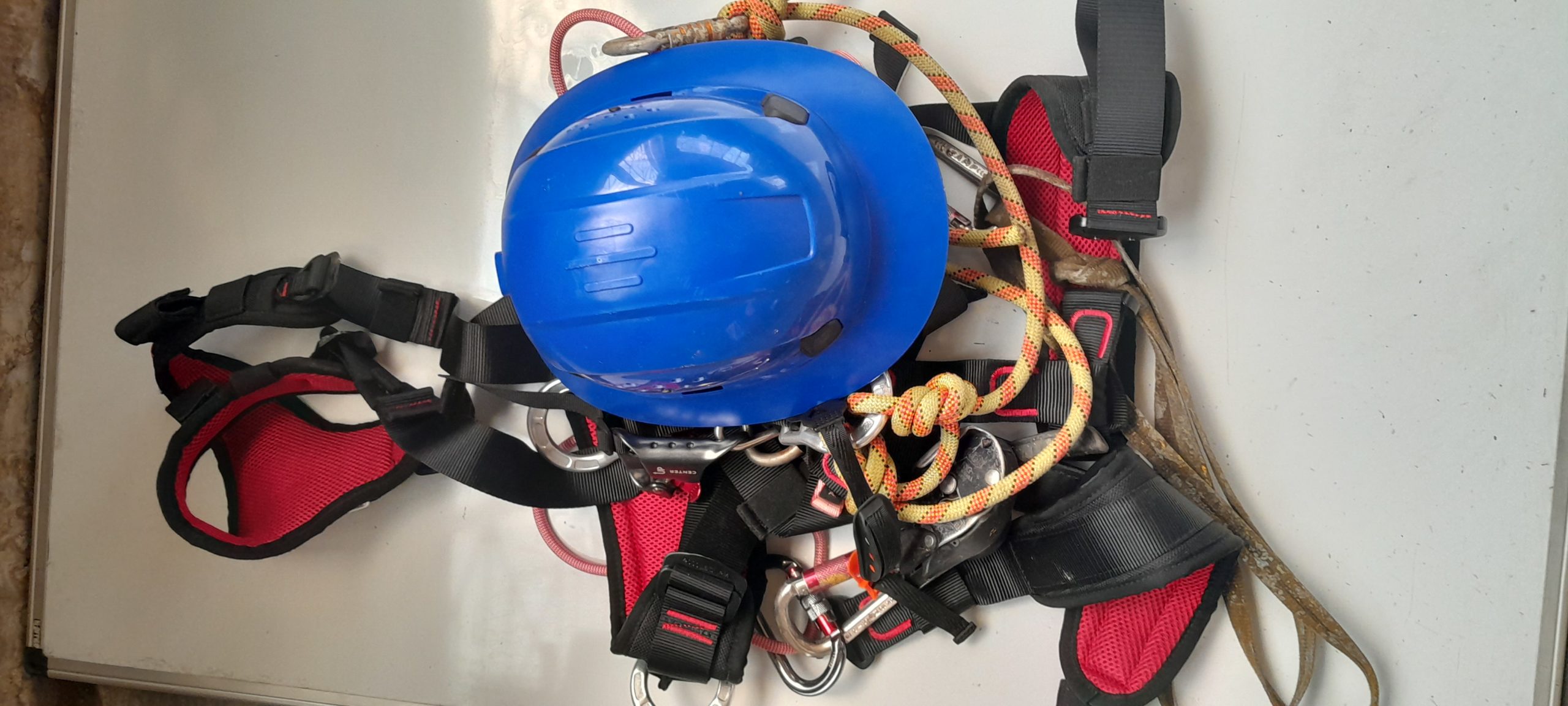 20230623 113746 scaled