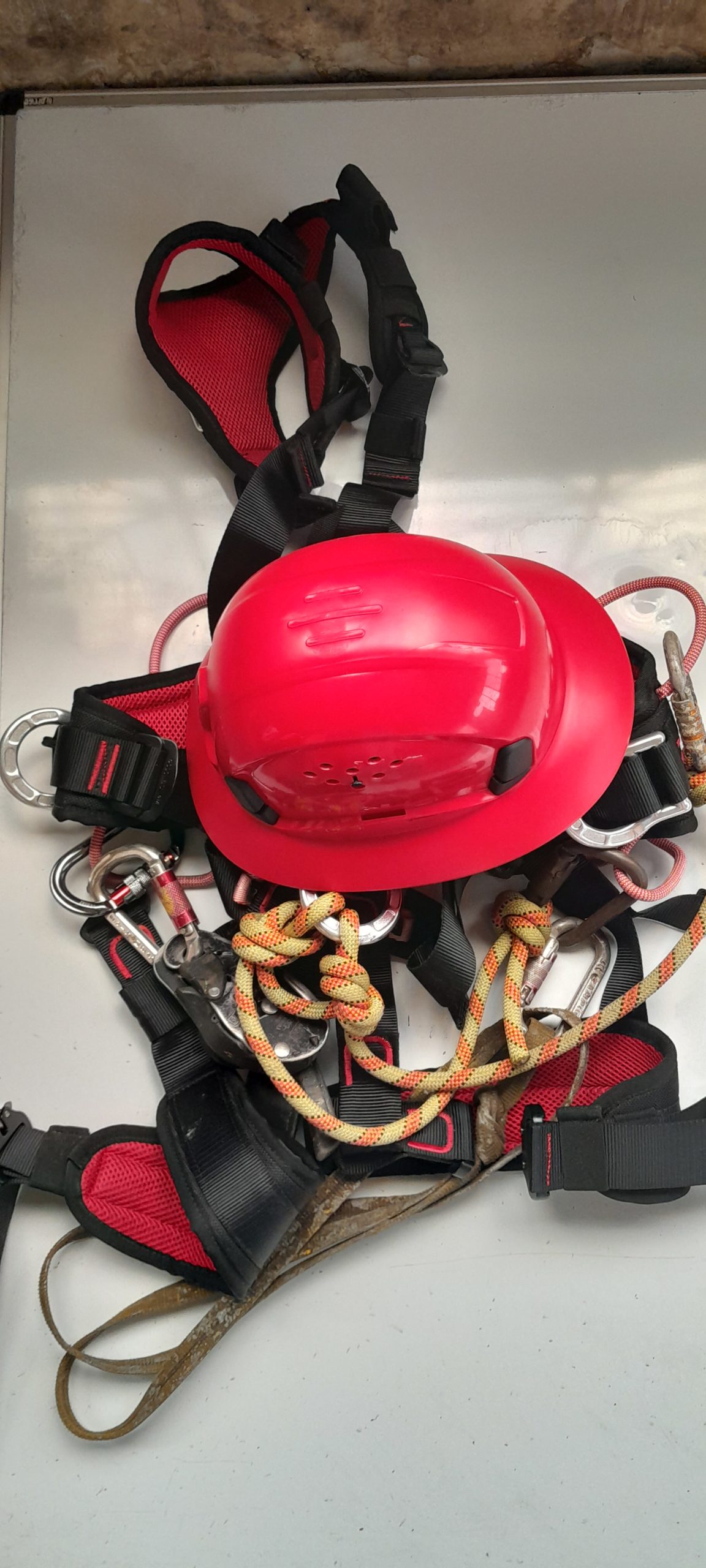 20230623 113910 scaled