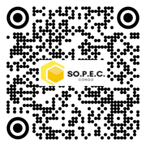 BA 019