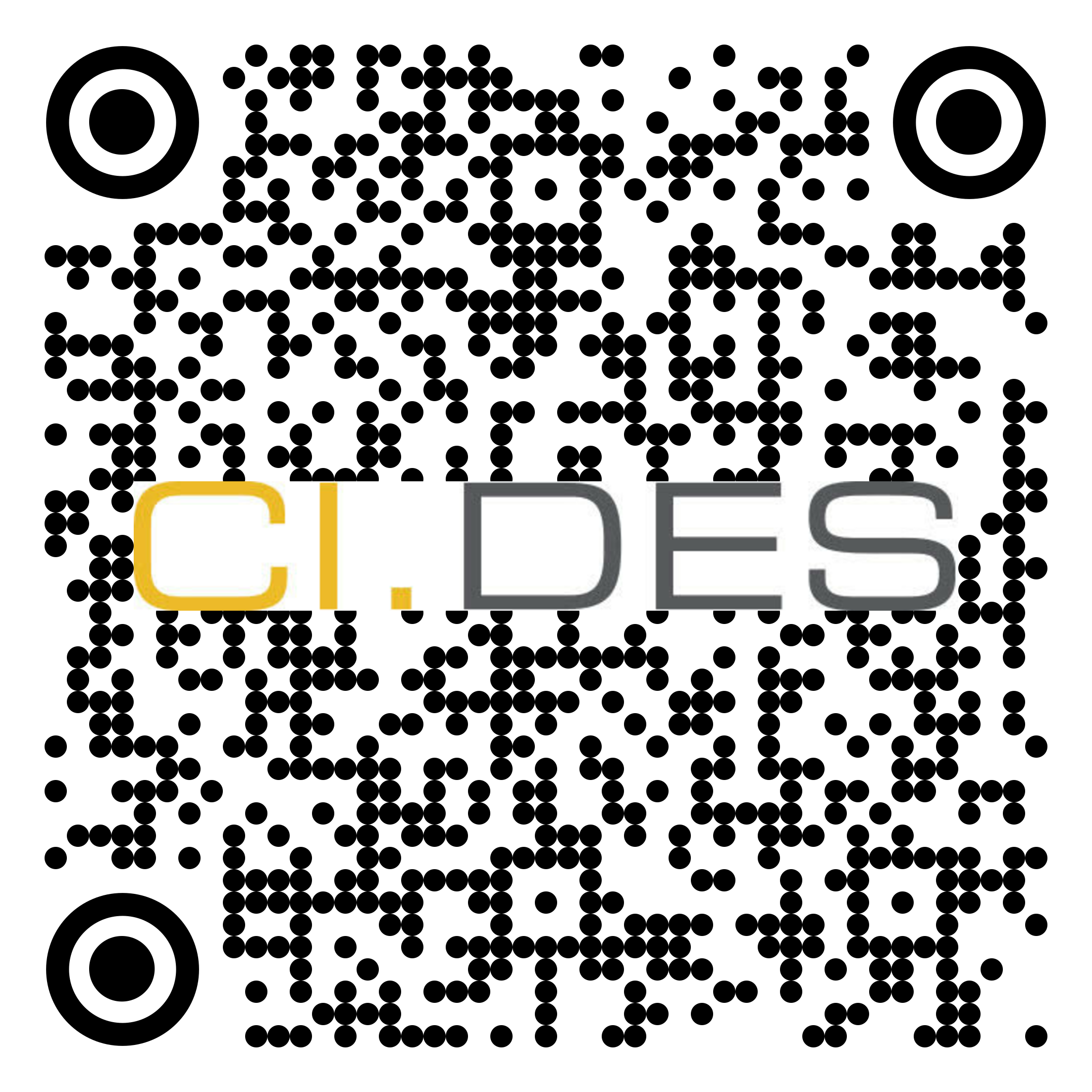 CI.PA 005 GA LNN Poignee Ascension Bloqueur QR code
