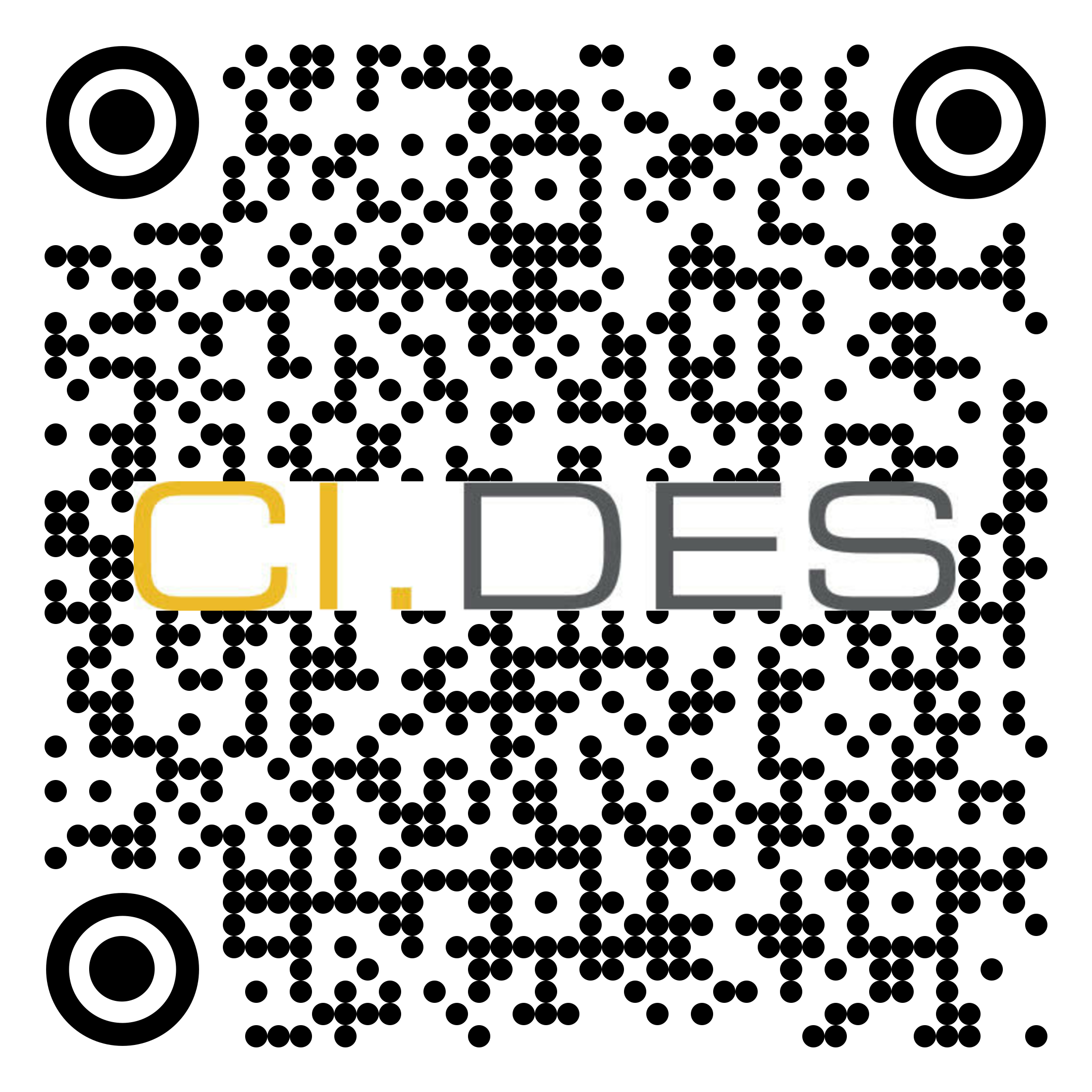 CI.PA 010 GA KM Poignee Ascension Bloqueur QR code