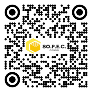 DE 002