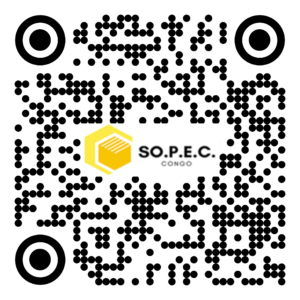 DE 003