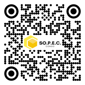 DE 005