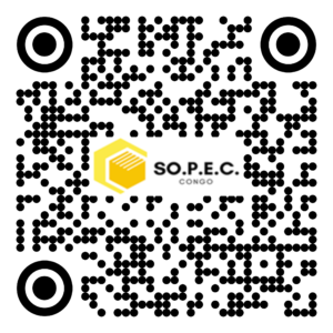 DE 008
