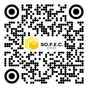 DE 009