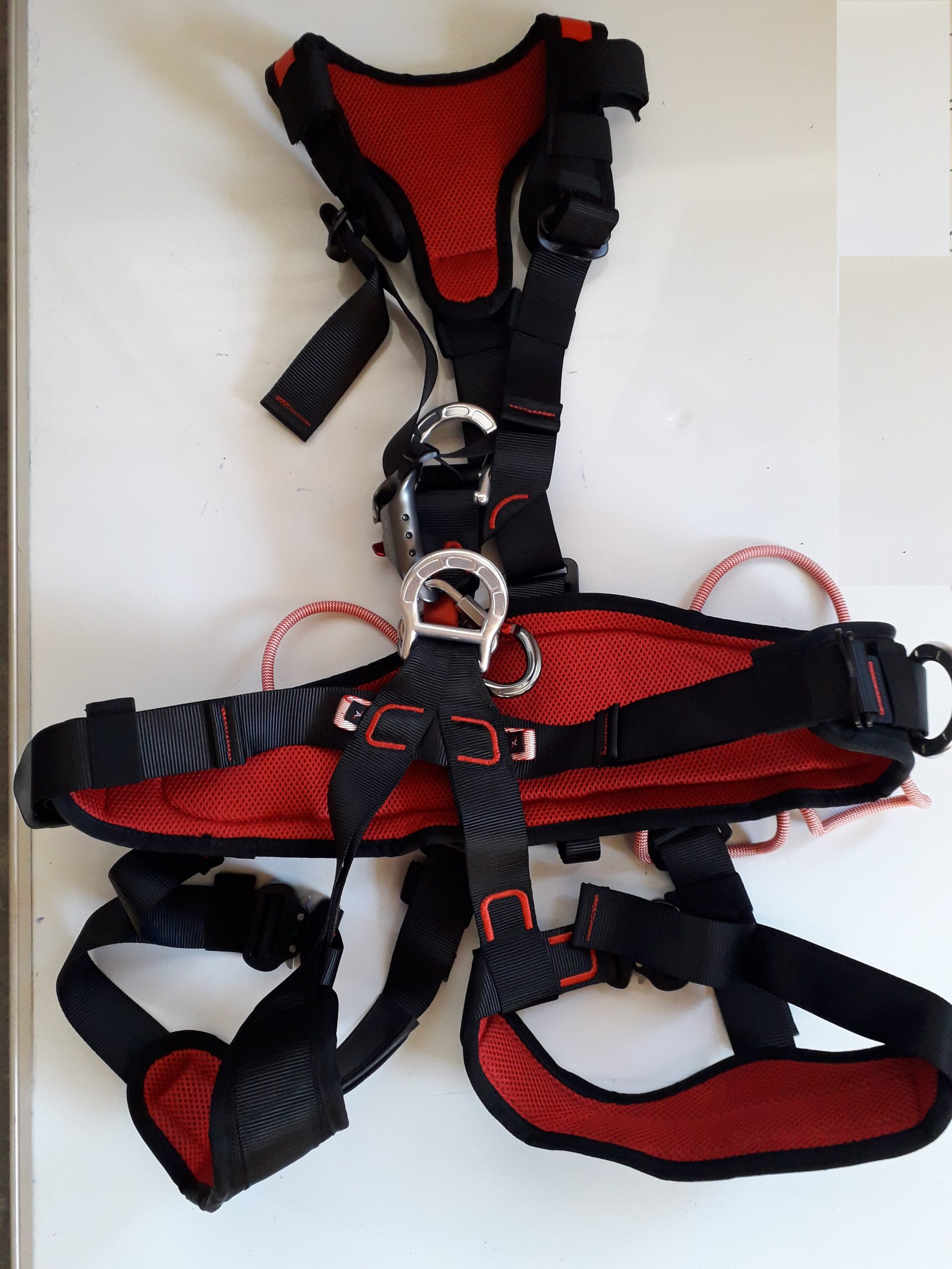 Harnais 1 scaled