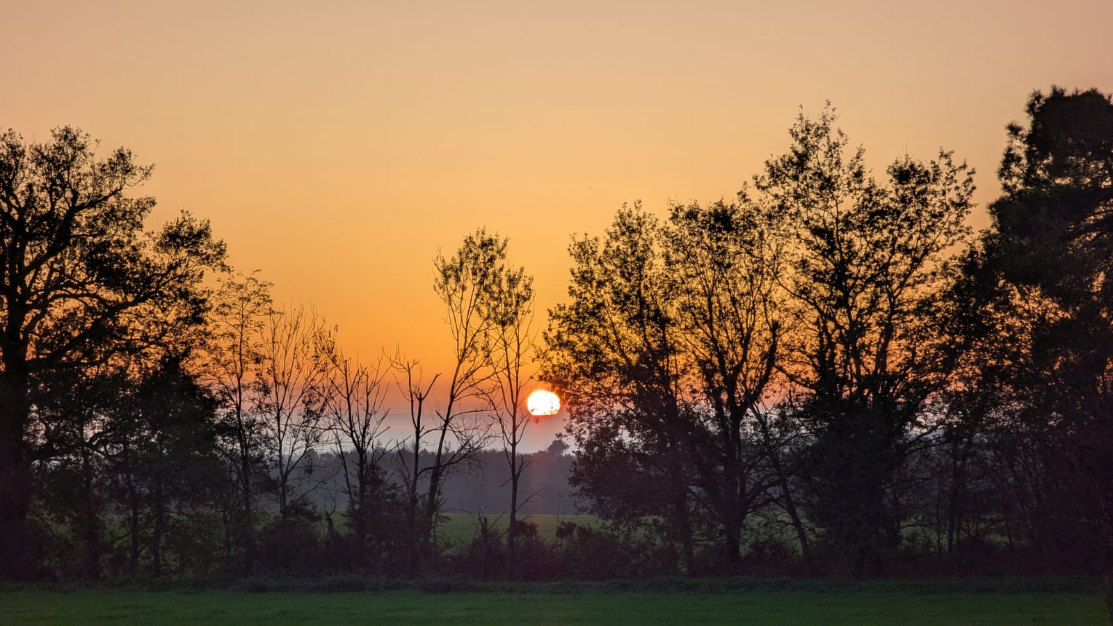 formation cordiste IRATA en France  – CI.DES