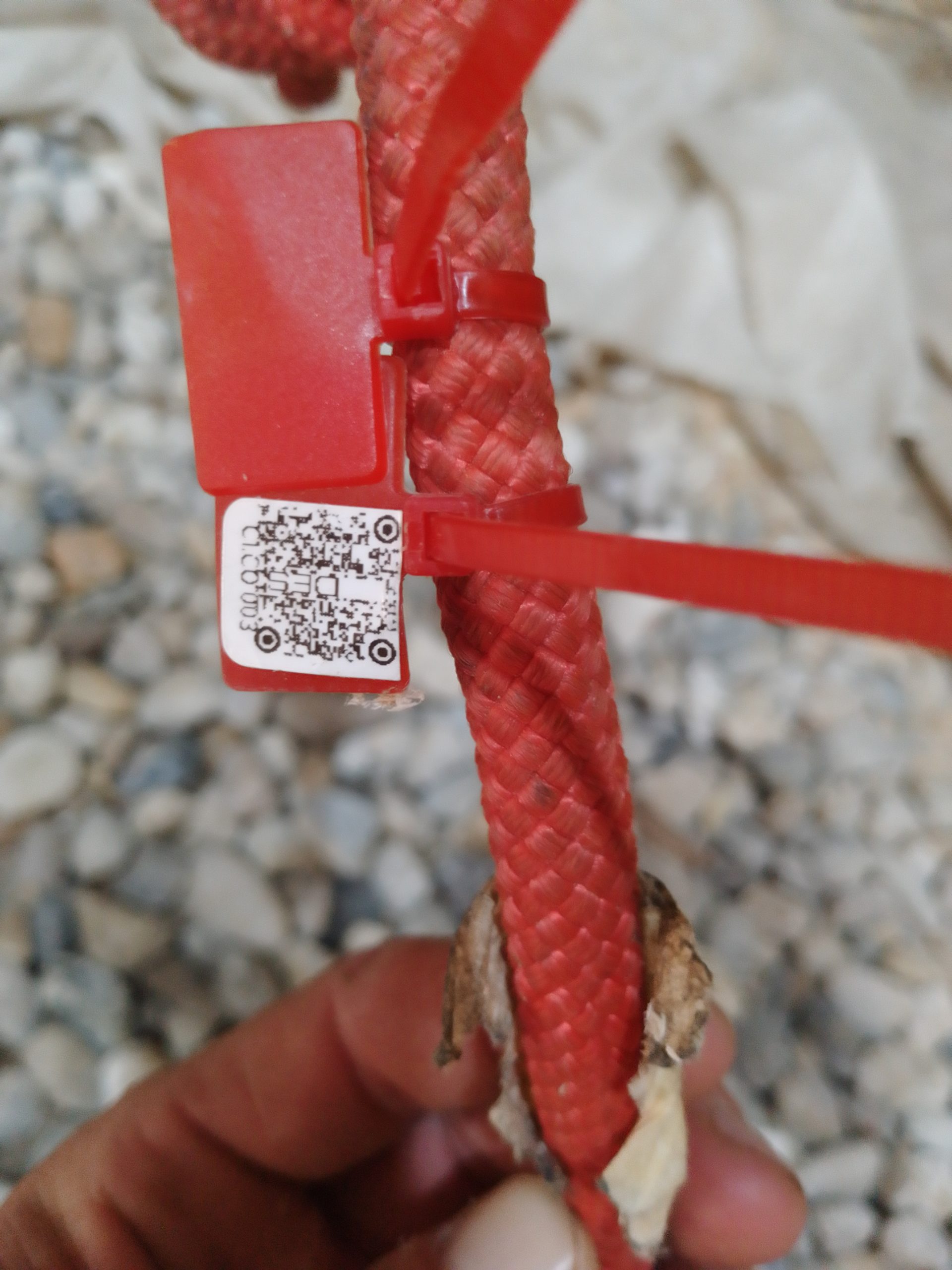 IMG 20230913 180654 3111 scaled