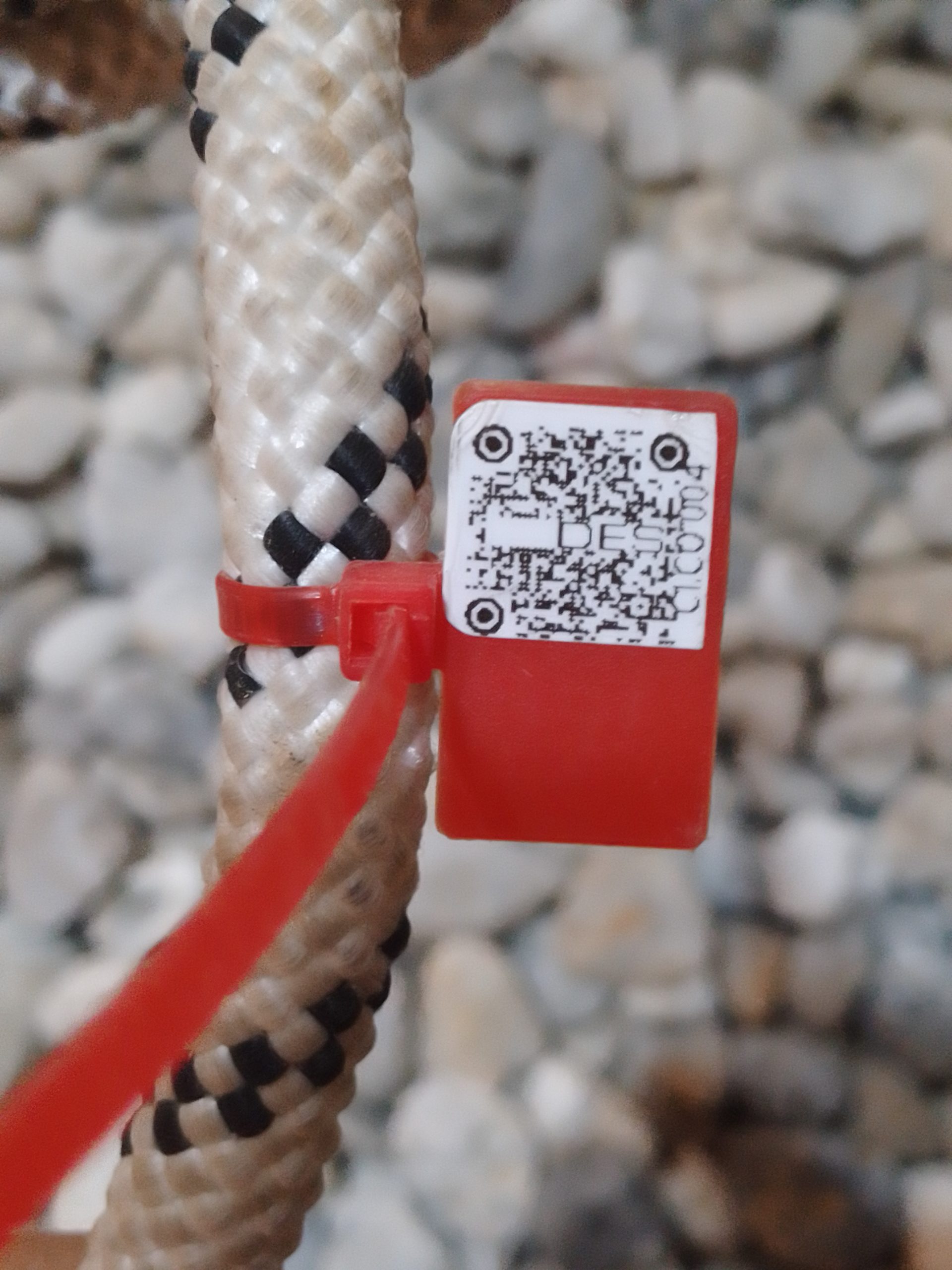 IMG 20230913 180919 1201 scaled