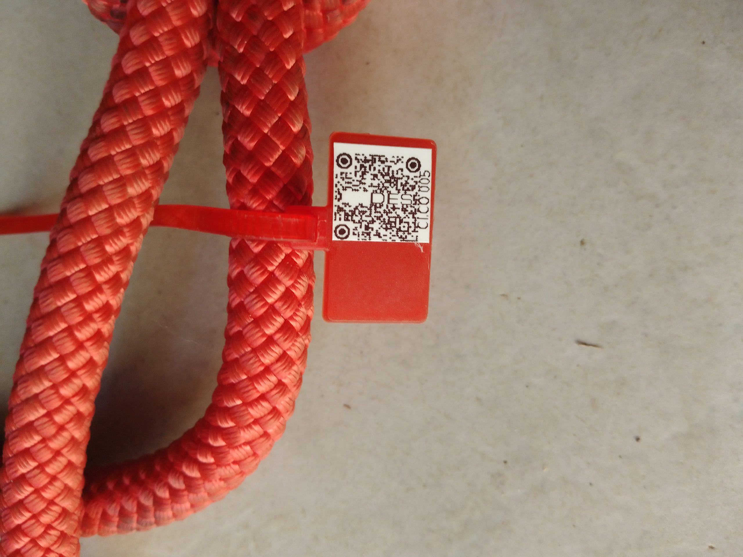 IMG 20230913 183629 1371 scaled