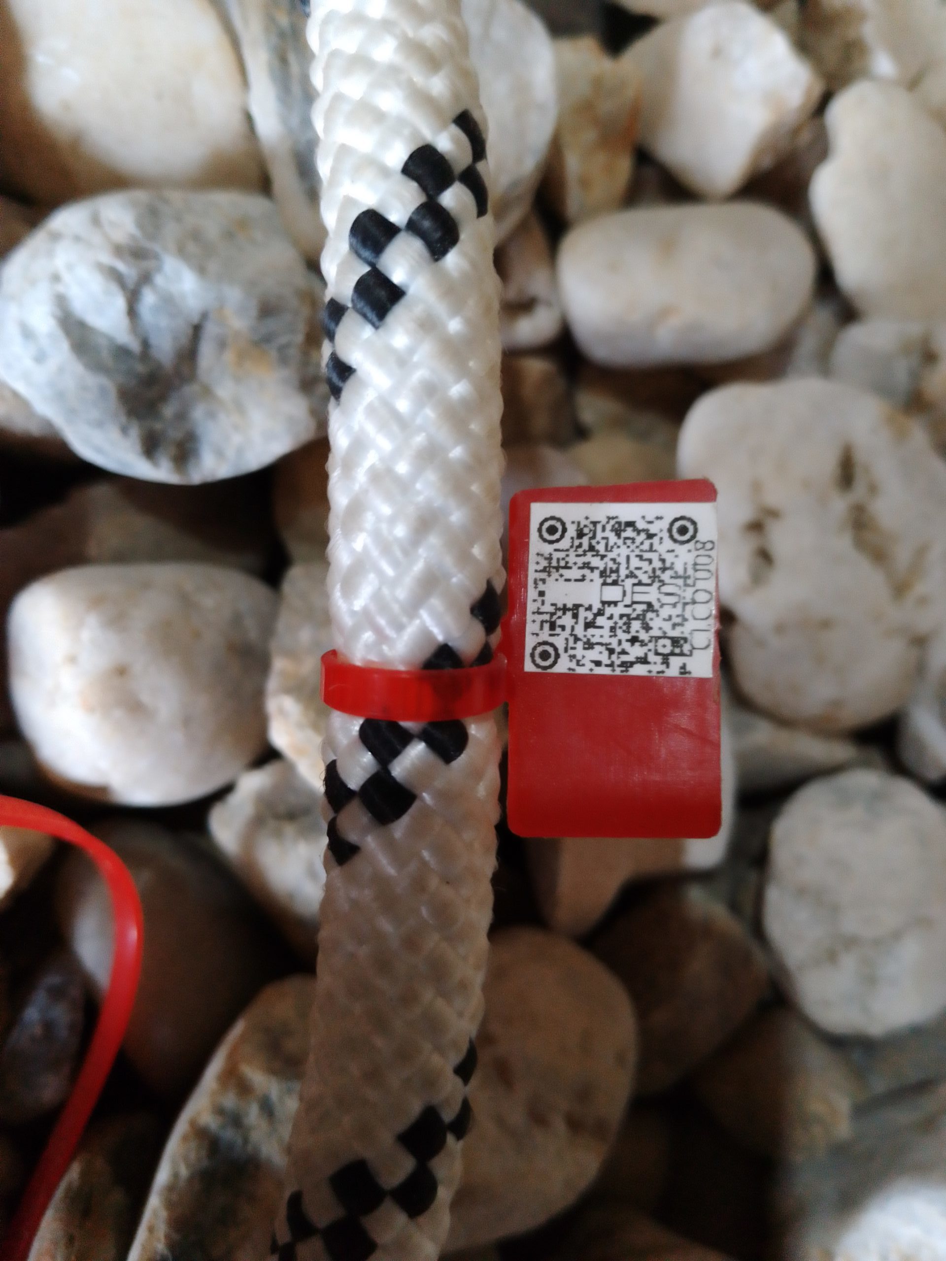 IMG 20230914 094020 1911 scaled e1694679522146