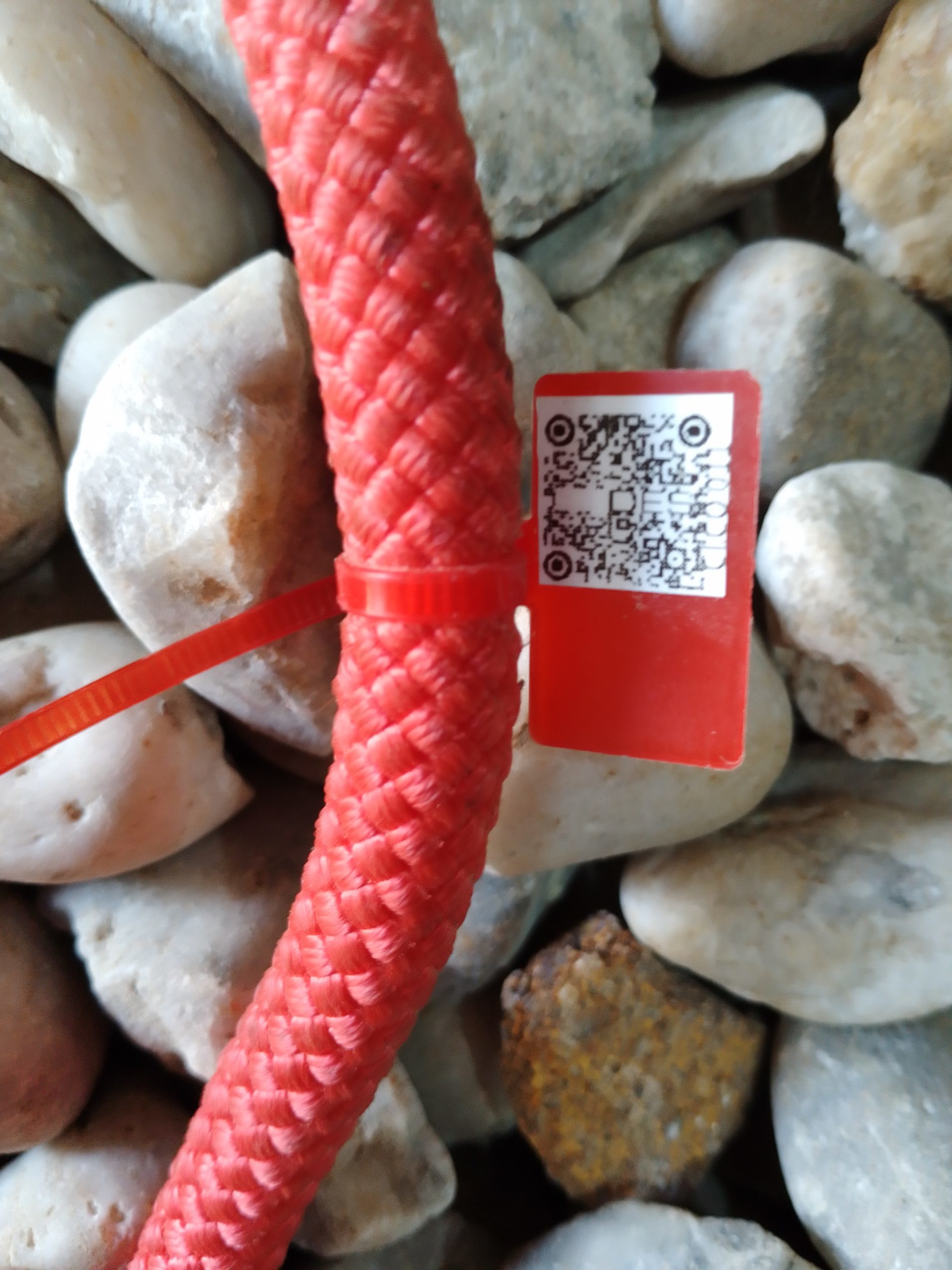 IMG 20230914 154138 1961 scaled e1694699075166