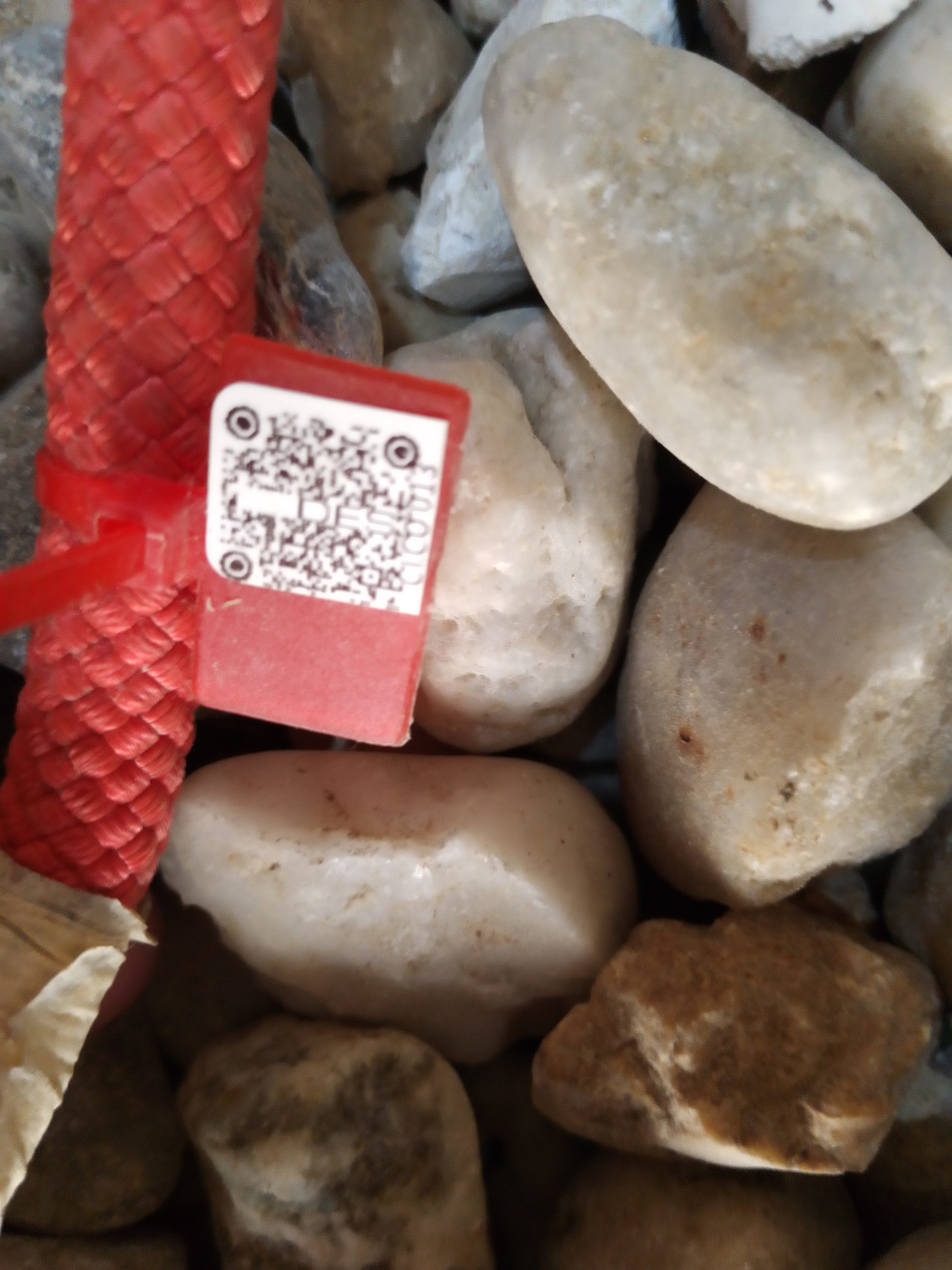 IMG 20230914 155230 3221 scaled e1694699695541