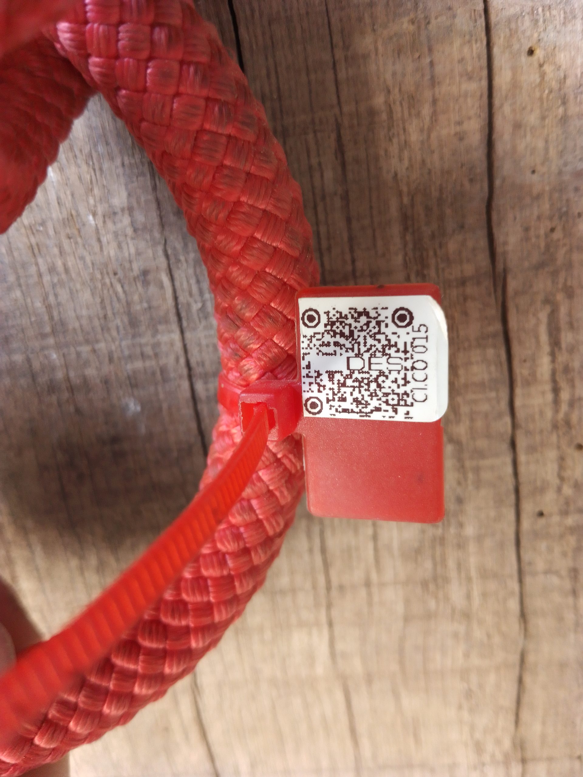 IMG 20230914 160423 8361 scaled