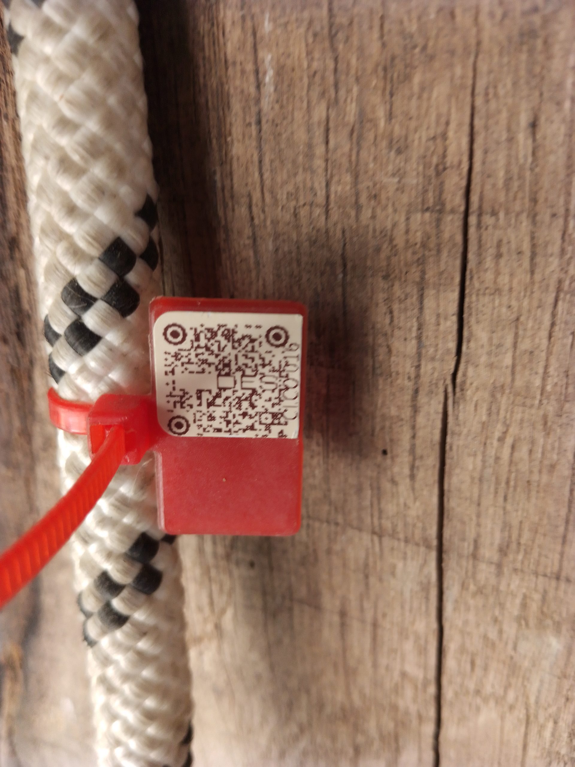 IMG 20230914 160435 8911 scaled