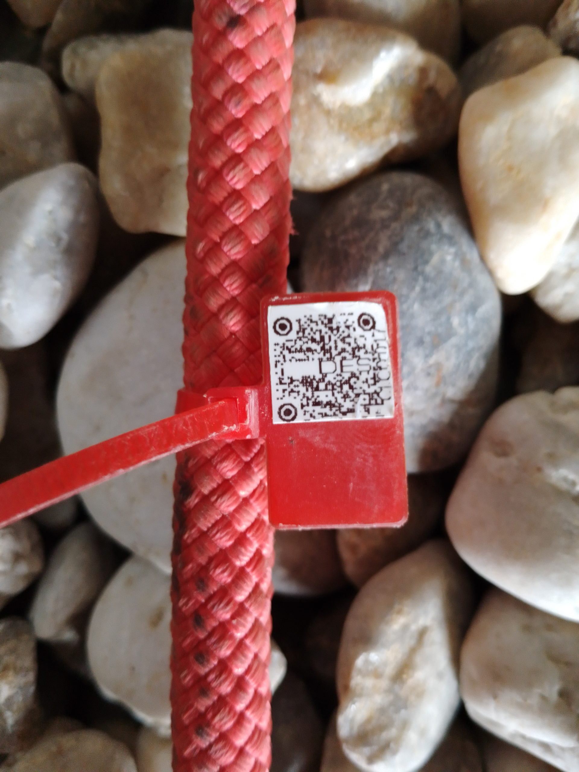 IMG 20230914 170259 143 scaled