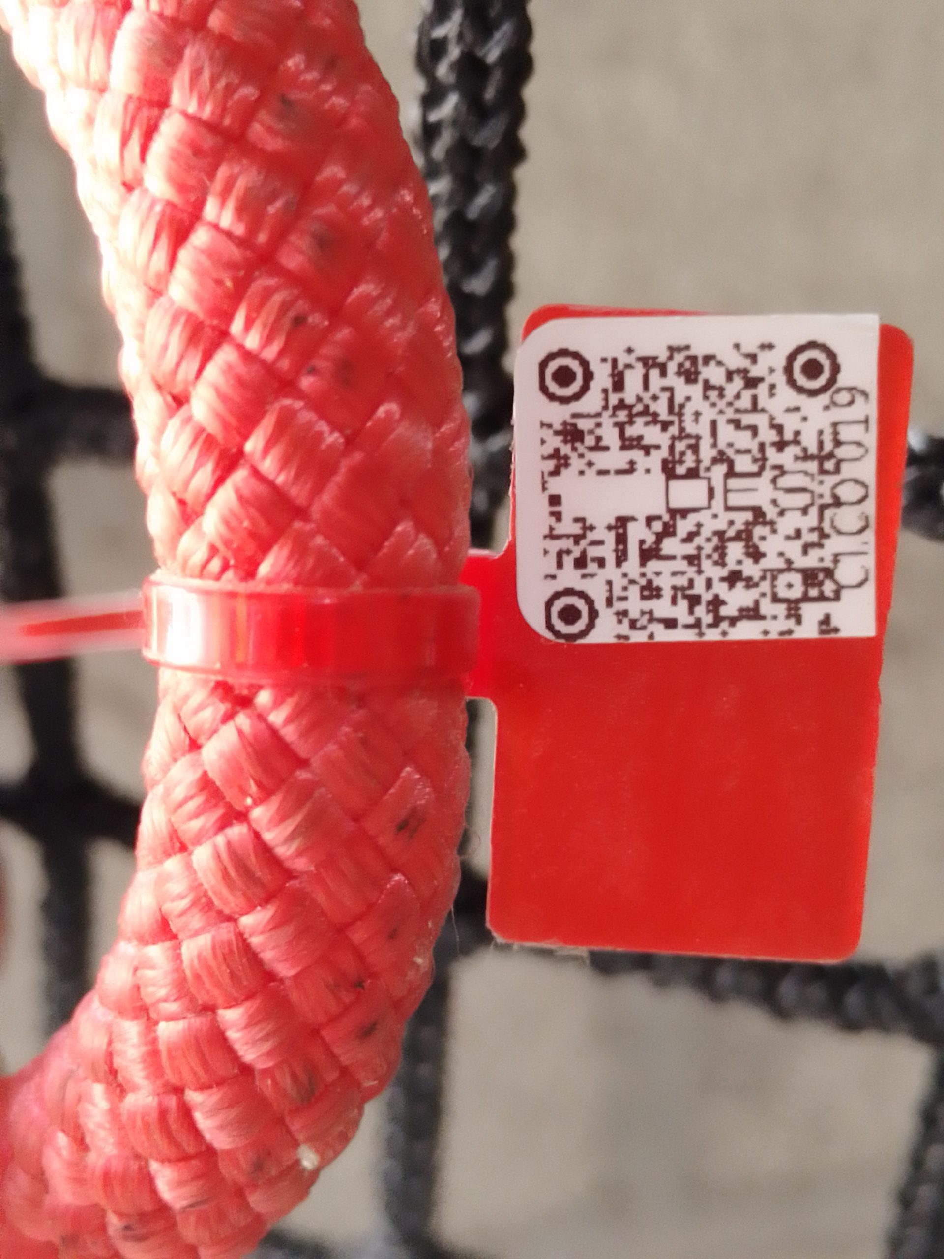 IMG 20230914 170606 997 scaled