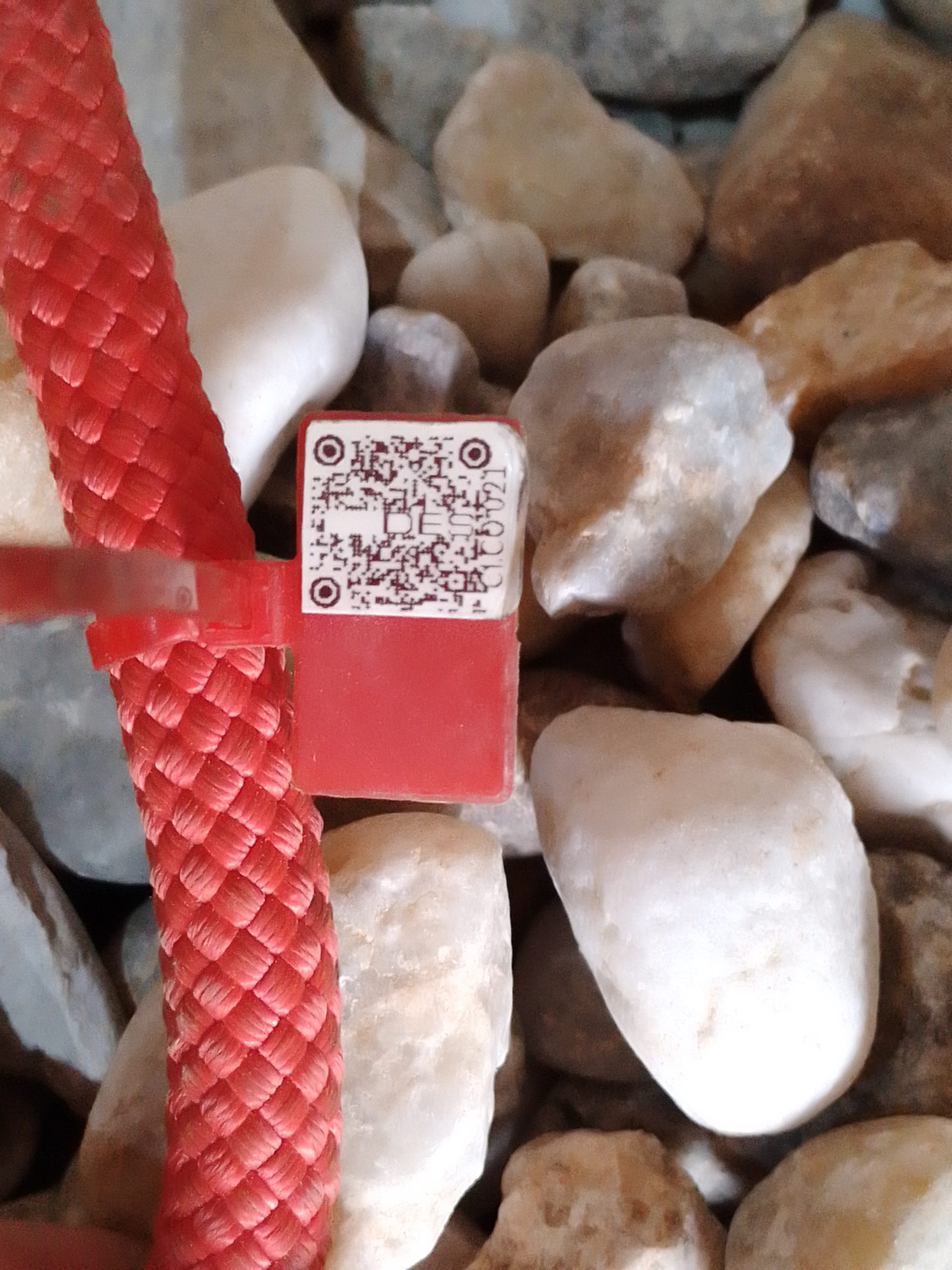 IMG 20230914 170838 793 scaled