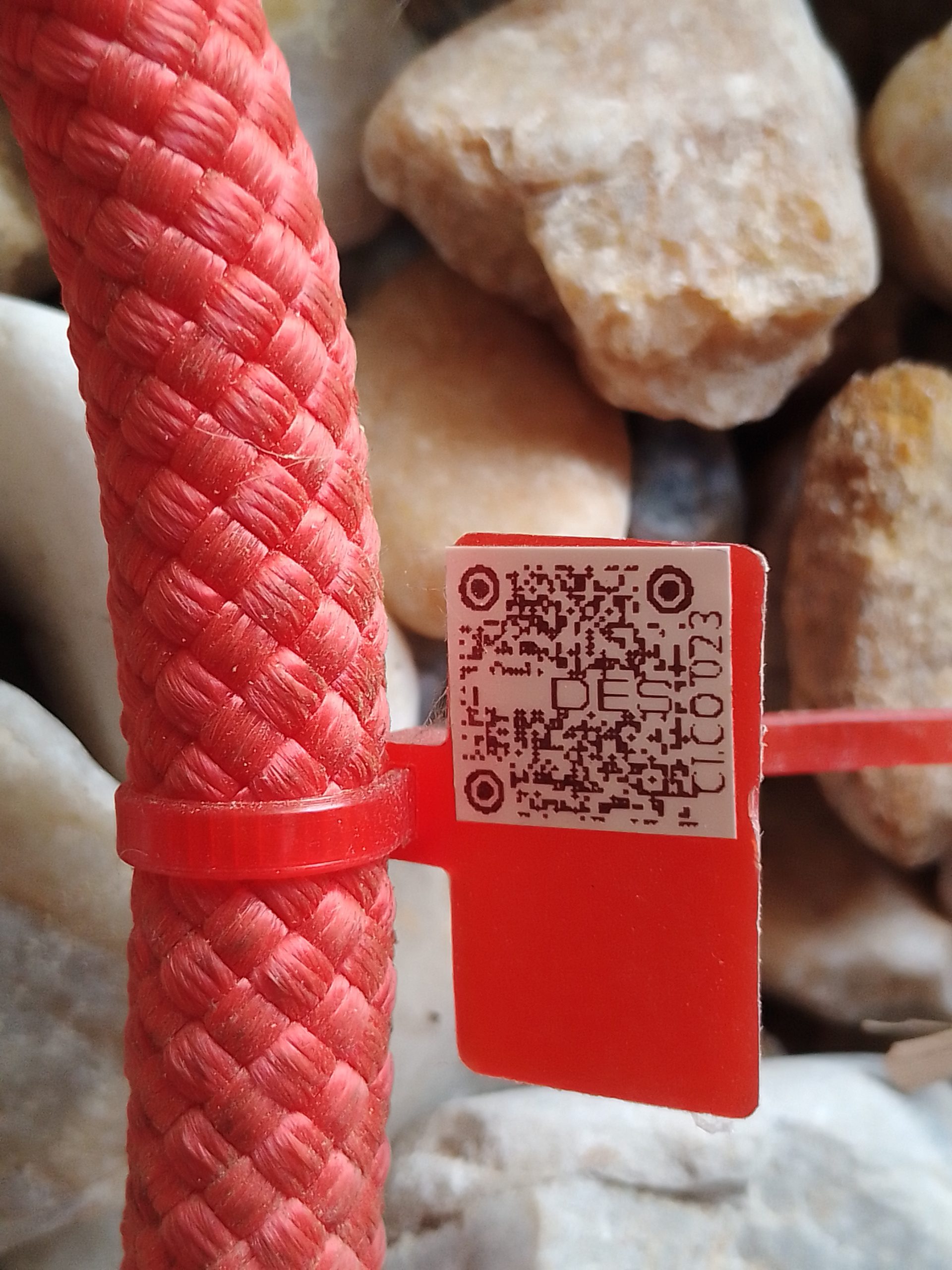 IMG 20230914 170950 343 scaled