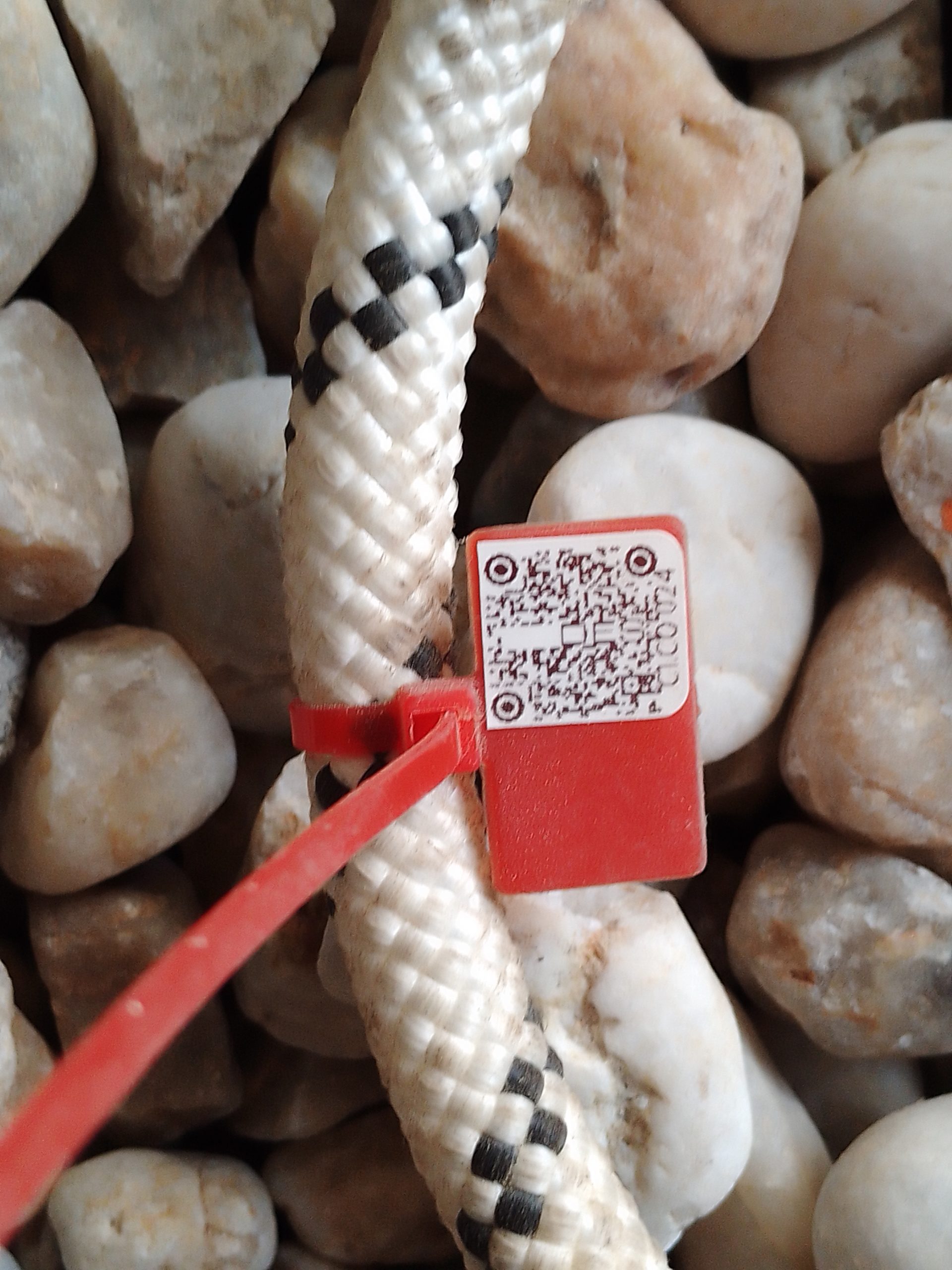 IMG 20230914 170954 397 scaled