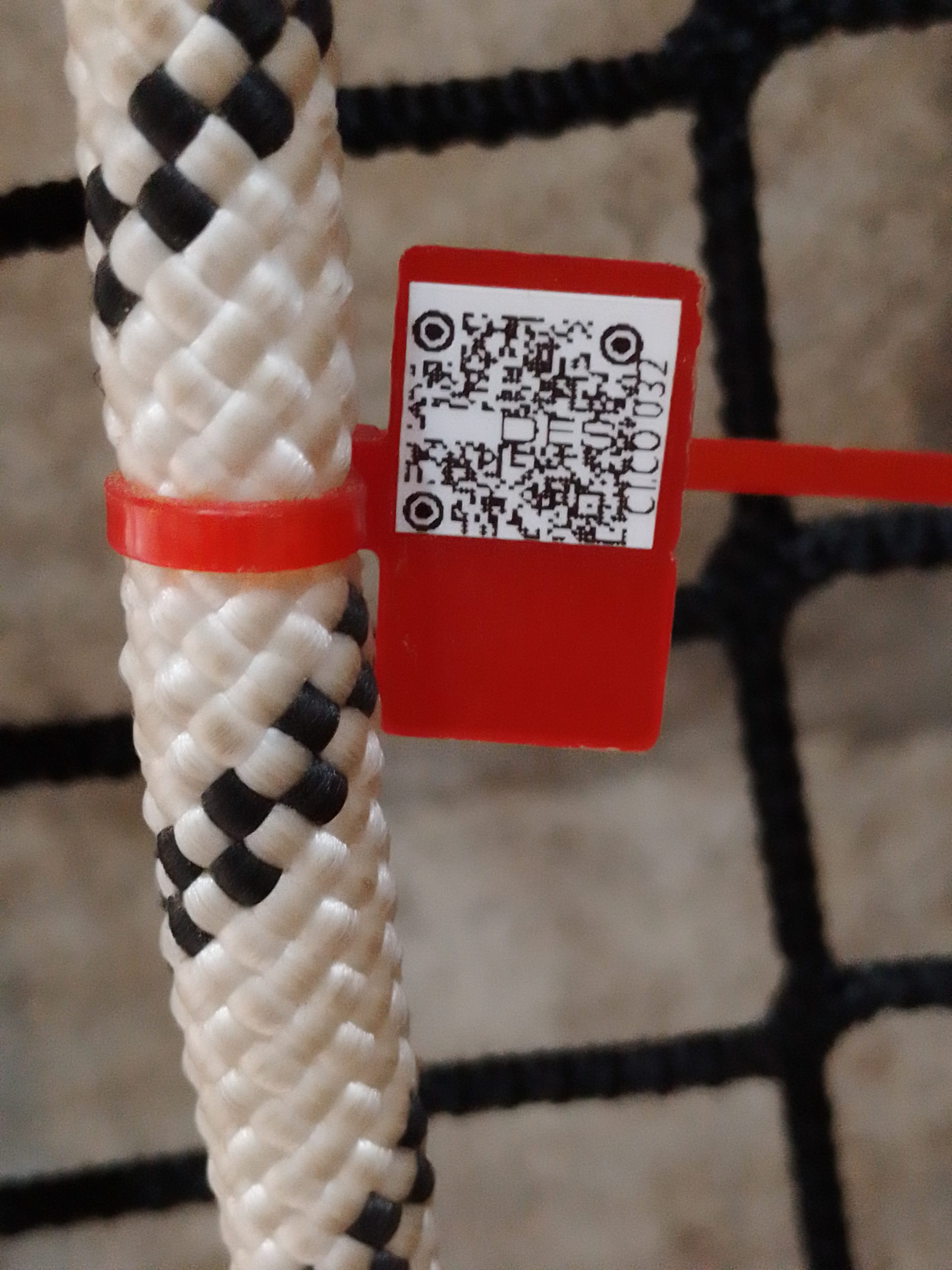 IMG 20230914 172540 459 scaled