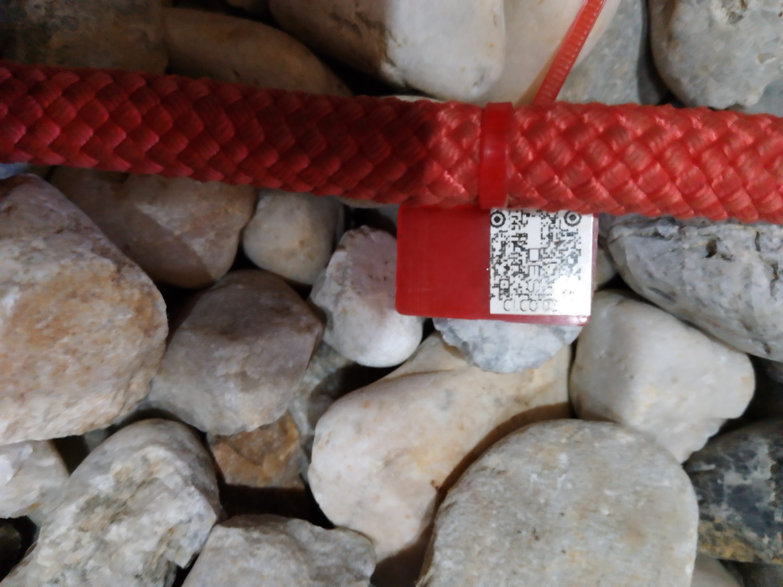 IMG 20230918 075305 4131 scaled