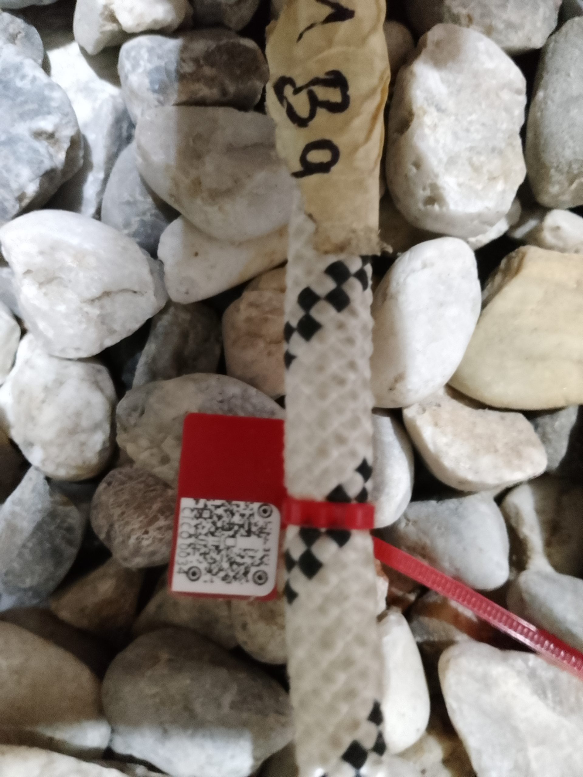 IMG 20230918 083026 8951 scaled