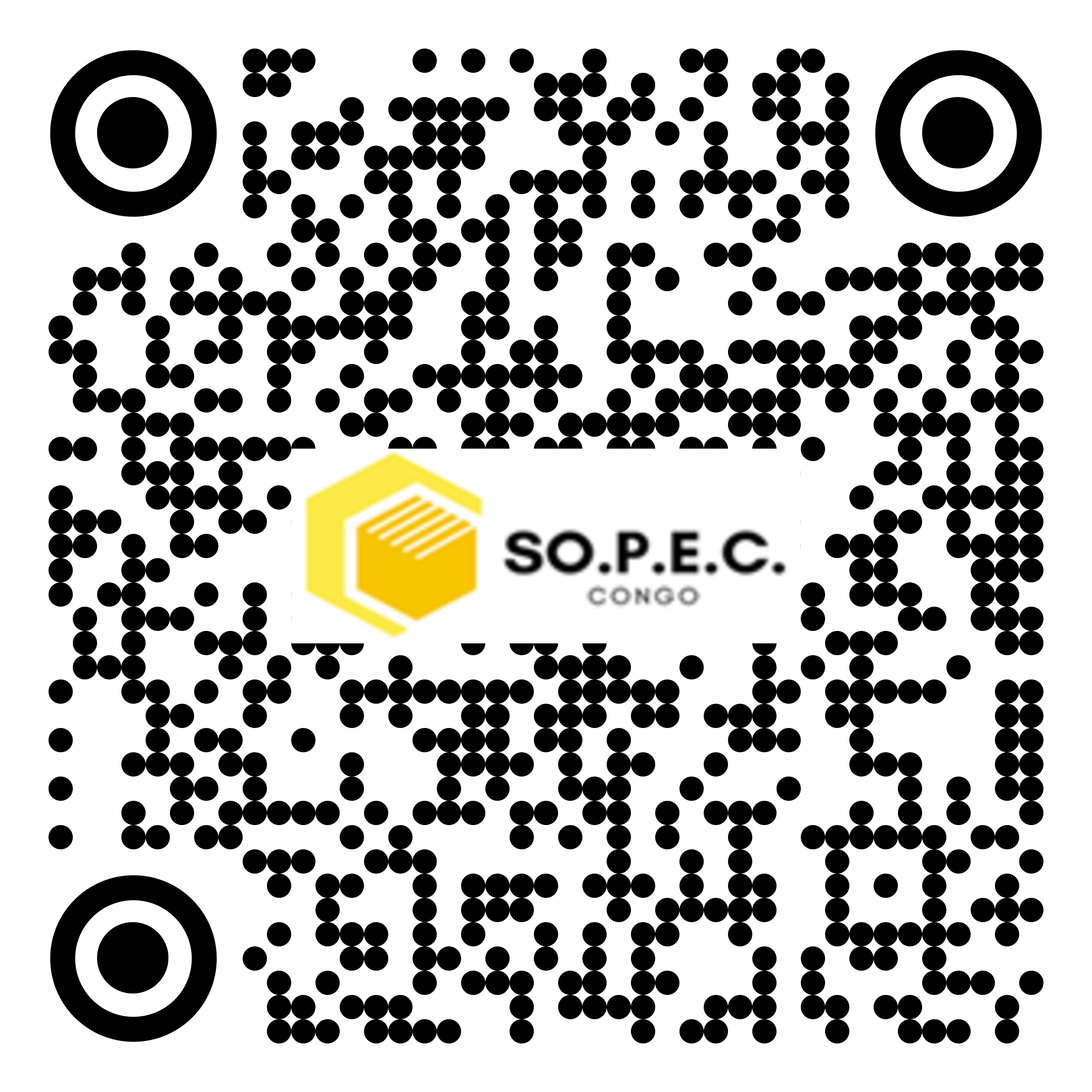 LE 000 CO qr code