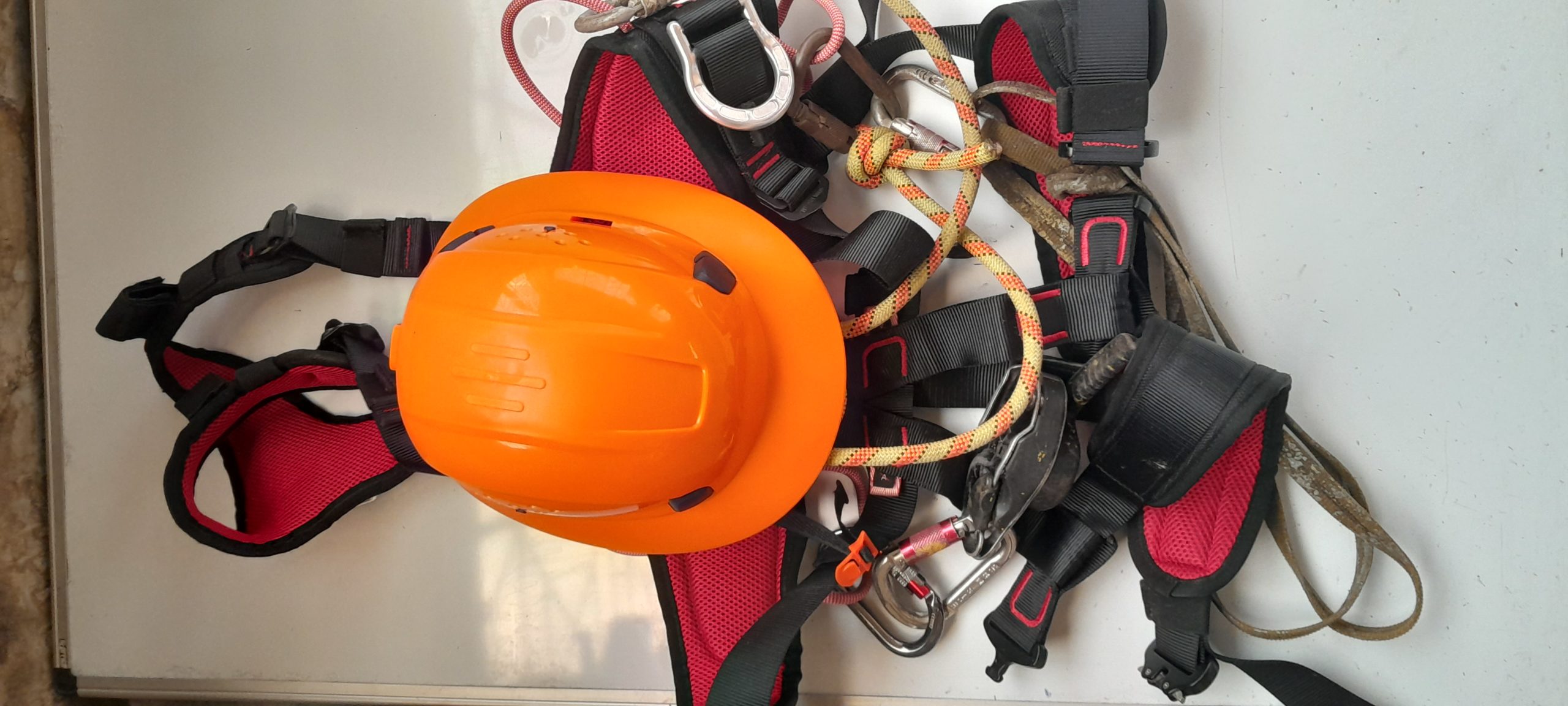 20230623 113621 1 scaled