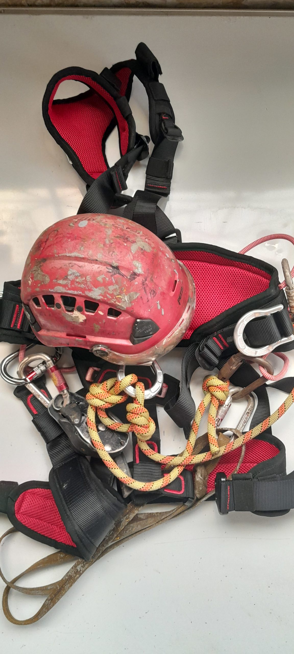 20230623 113950 scaled