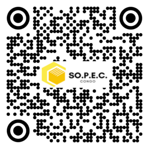AM 008