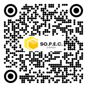 BA 008