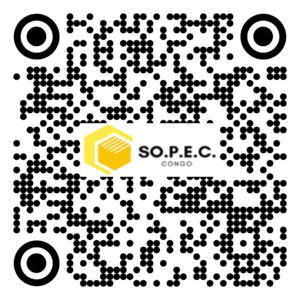 BA 009