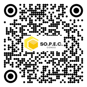 BA 011