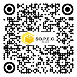 BA 013