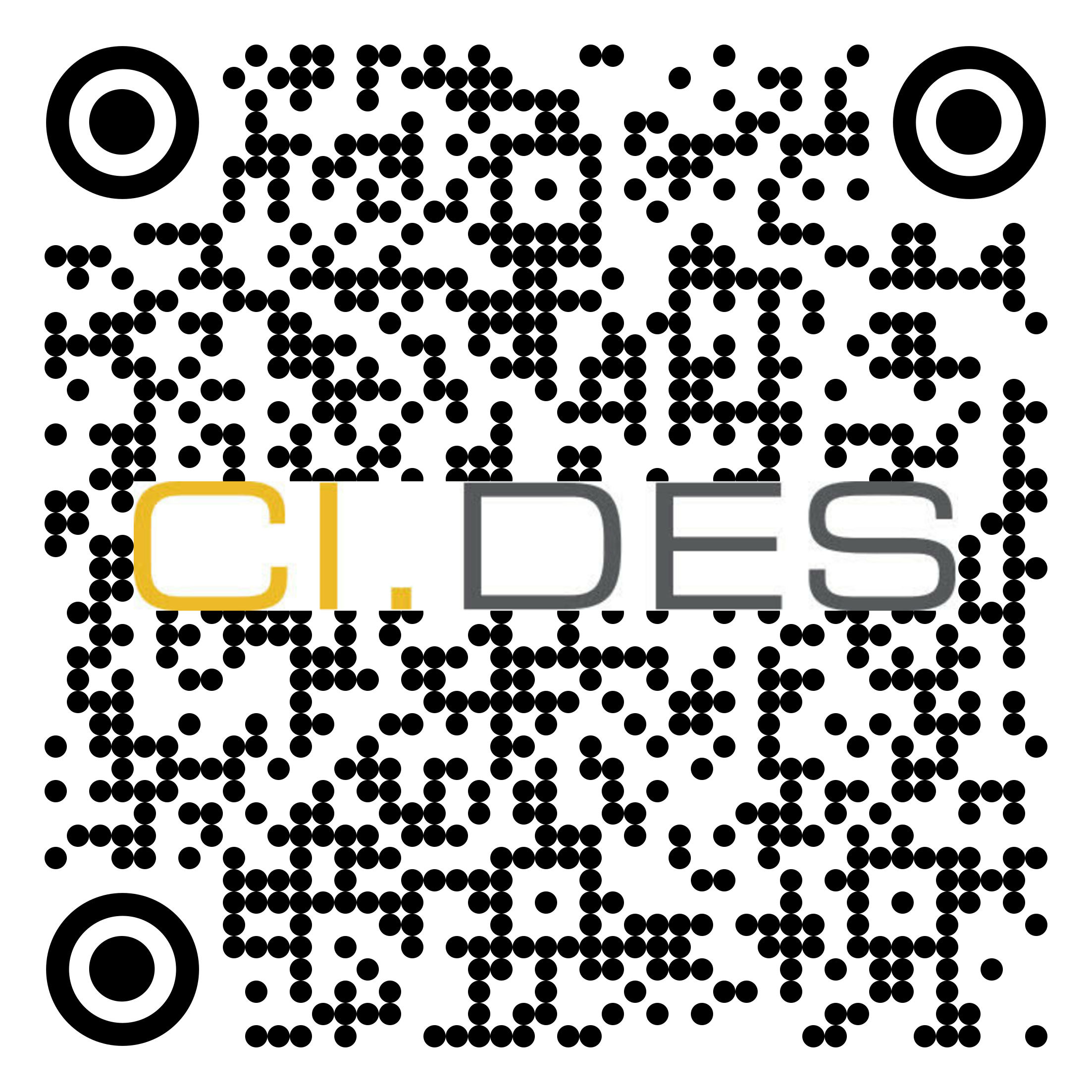CI.PA 012 GA XXX Poignee Ascension Bloqueur QR code