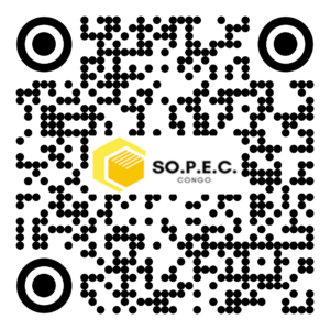 DE 000