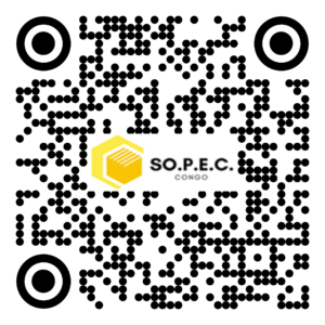 DE 011